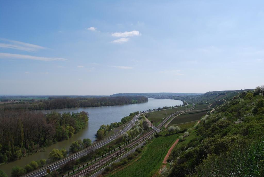 Landhotel St. Gereon Nackenheim Bagian luar foto
